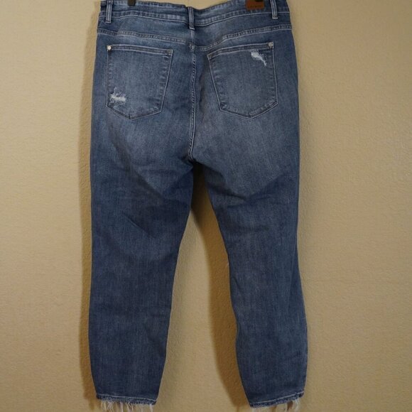 Judy Blue Brittany Boyfriend Fit Distressed Jeans 20W High Rise Frayed Hem - Picture 5 of 10